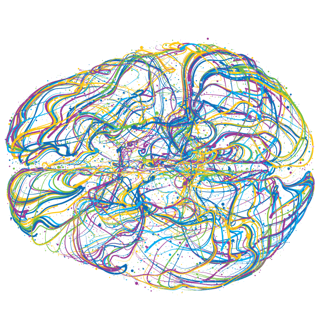 The Structure Of The Brain