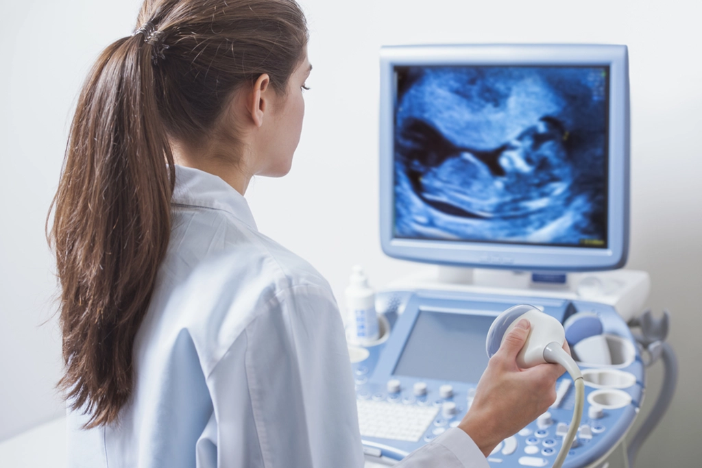 Ultrasound Technologist Viewing Fetus On Monitor